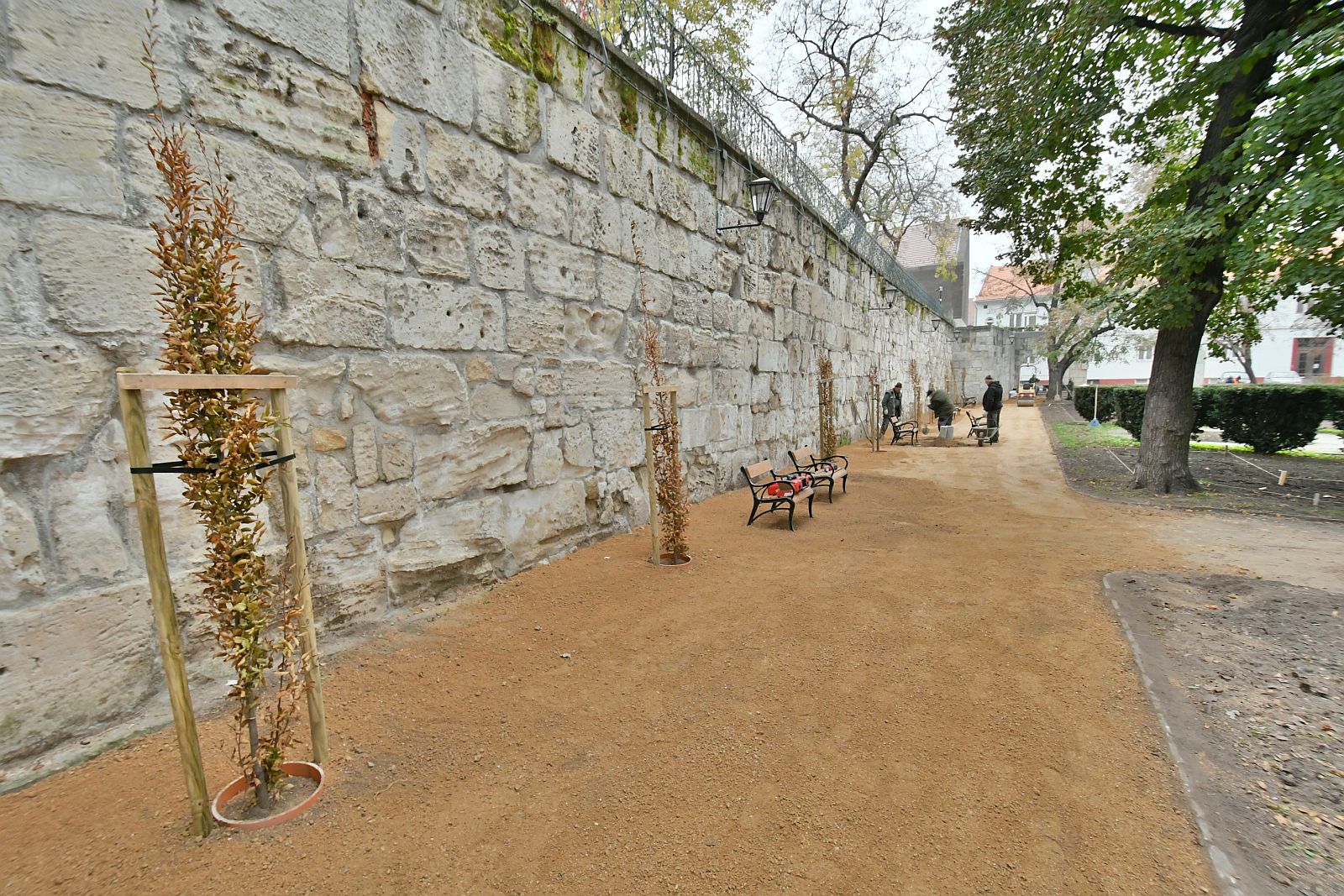 Elkezdődött a Prohászka liget parkfelújítása